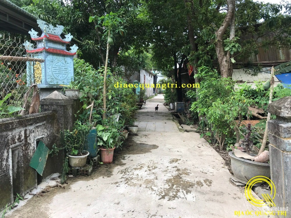 🪆Đất Nền Trung Tâm Thị Xã Quảng Trị, Tiện Ích Đầy Đủ Chỉ Với 8Xx.