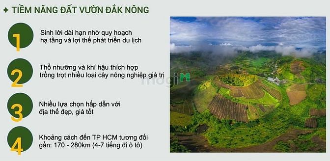 Đất Sào Đắk Nông Từ 500 Triệu/ Sào 1000M2 Sổ Hồng Riêng
