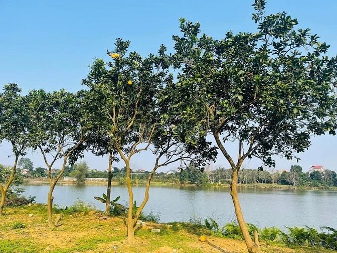 Bán 1185M2 Đất View Hồ Yên Thái, Đông Yên, Quốc Oai, Cách Big C 25Km