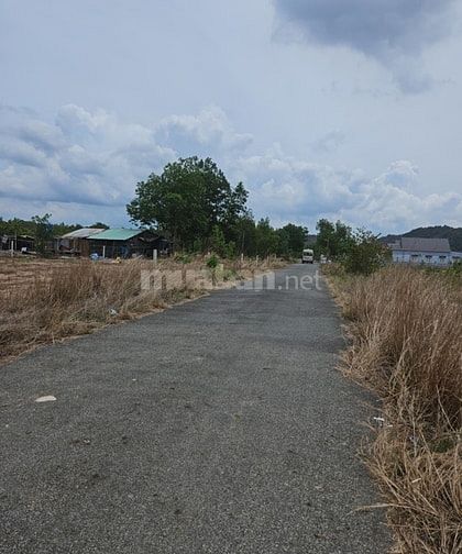 Đất Thổ Cư 174 M2,Đường Nhựa 20M, Thị Xã Phú Mỹ, Bà Rịa- Vũng Tàu.