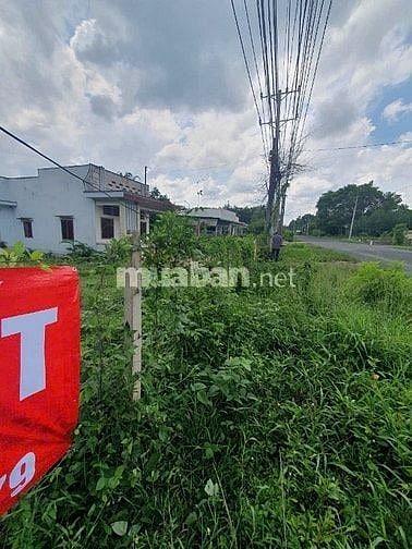 Cần Bán Nhà & Đất Mặt Tiền Đường Nhựa An Viễn, Trảng Bom, Đồng Nai