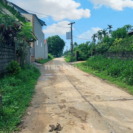 Bnhanh 161M2 Đất Gần Full Thổ Cư Tại Xã Thanh Lương-Lương Sơn