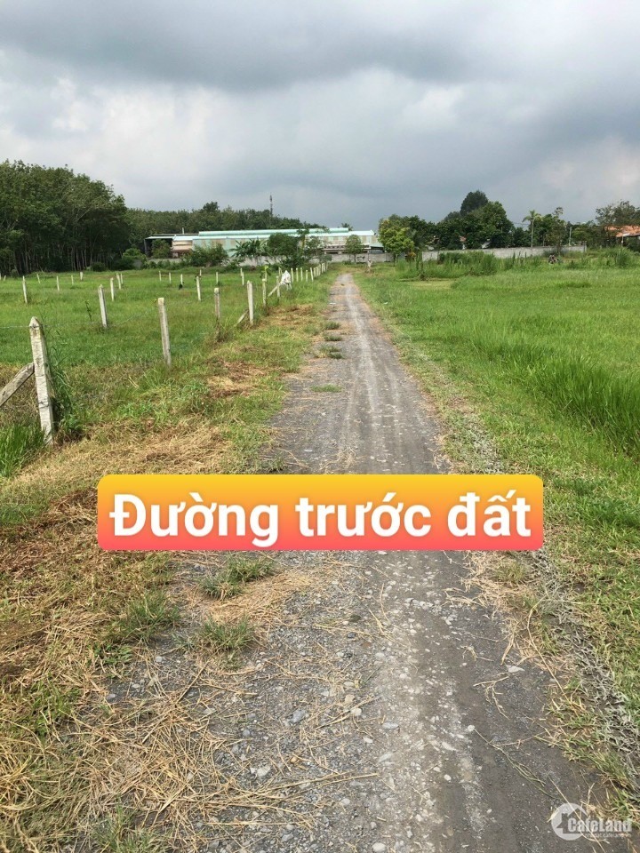 Đất Ngộp Củ Chi, Bán Đất Gần Nguyễn Thị Rành 500M2 Giá Chỉ 800Tr