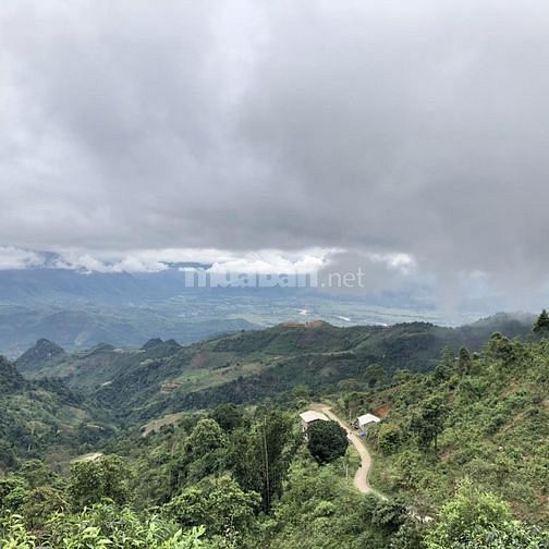 Bán Đất Thổ Cư Chính Chủ - Trung Tâm Du Lịch Suối Giàng