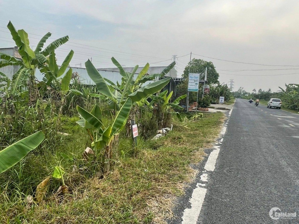 Chính Chủ Bán Lô Đất Rộng Đẹp Có 1-0-2 Tại Lai Vung - Giá Rẻ Đầu Tư