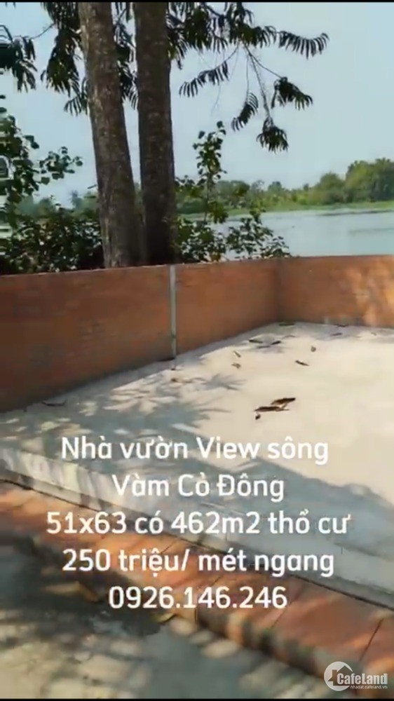 Nhà Vườn View Sông Vàm Cỏ Đông, 51X63, (4167M2) Có 462M2 Ont, 12 Tỷ 750 Triệu