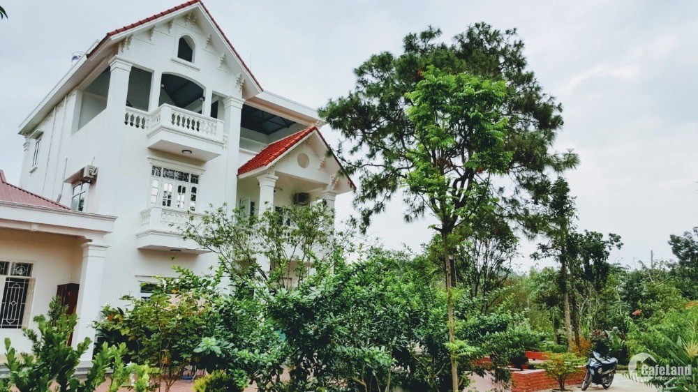 Cần Bán Gấp Biệt Thự Ở Việt Trì, Phú Thọ Tổng Diện Tích 3.300M2