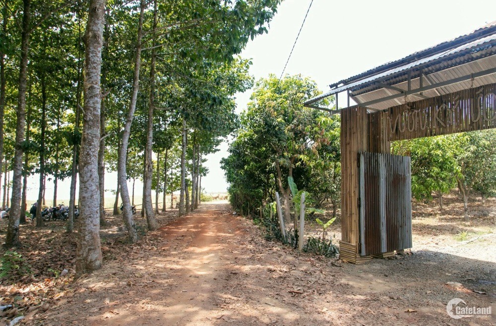 Sở Hữu Nông Trại, Nhà Vườn Cạnh Hồ Trị An, Tỉnh Đồng Nai. Cách Tphcm Chỉ 90Km