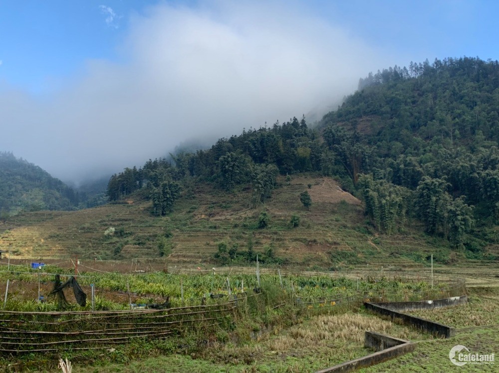 Bán 10Ha Trang Trại Chiềng Sơn, Mộc Châu, Điện Nước, Hệ Thống Tưới Tiêu Đầy Đủ