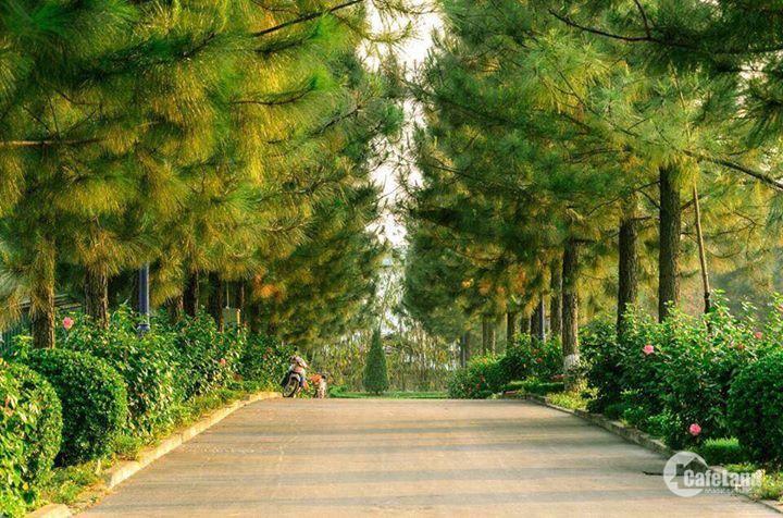 Bán Lô Biệt Thự Đông Nam 200M2 Tại Khu Sinh Thái Phùng - The Phoenix Garden.lh.0961461594