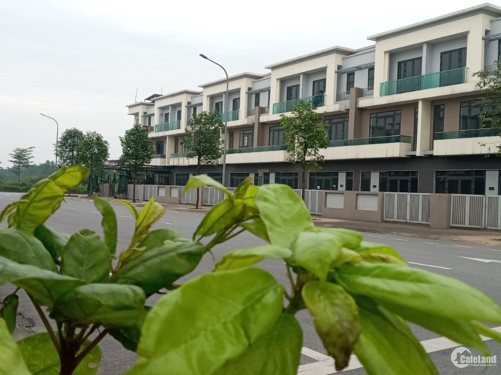 50M Bệnh Viện Quốc Tế. Phố Đi Bộ. Shophouse Hoa Hậu Tại Vsip, Tp Tsơn, Bninh