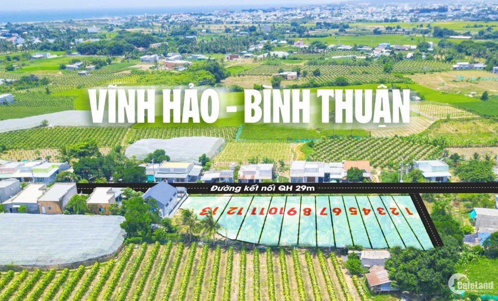Đất Biển Bình Thuận Gần Cao Tốc Phan Thiết - Dầu Giây