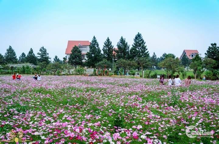 Bán Biệt Thự Tại Dự Án The Phoenix Garden