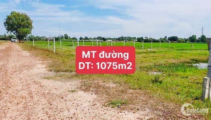 Cần Bán Gấp Đất Mt 1075M2 Trung Lập Hạ,Củ Chi, Giá Từ 1.69 Tỷ