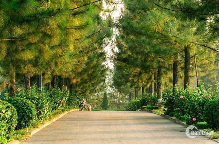 Bán Lô Biệt Thự 200M2 Tại Khu Sinh Thái Phùng - The Phoenix Garden, Giá Hấp Dẫn. 0961461594