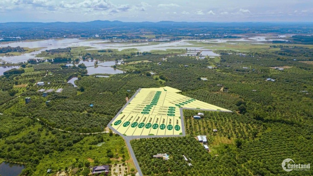 Bán Đất Vườn Bưởi Gần Hồ Trị An, Xã La Ngà, Định Quán, Đồng Nai.