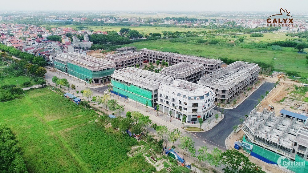 Chủ Nhà Cần Bán Lô Ngoại Giao Giá Tốt - Calyx Residence 319 Đông Anh