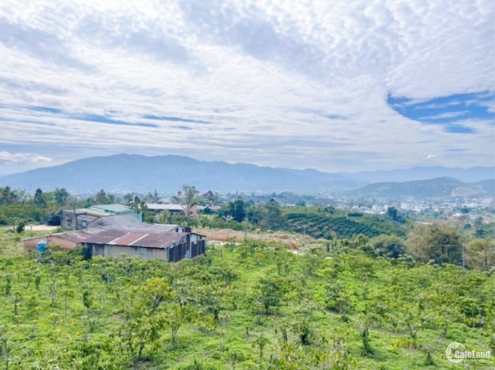 Bán 3,3 Sào 1Tỉ9 Có View Thích Hợp Xây Homestay, Nghỉ Dưỡng, Bao Sổ