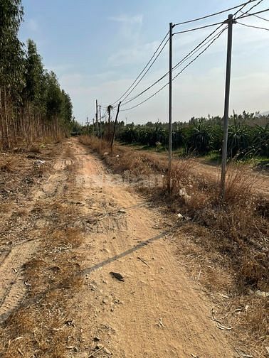 Đất Bình Thuận Giá Rẻ Chỉ 1.25 Tỷ Nhanh Tay Kẻo Hết