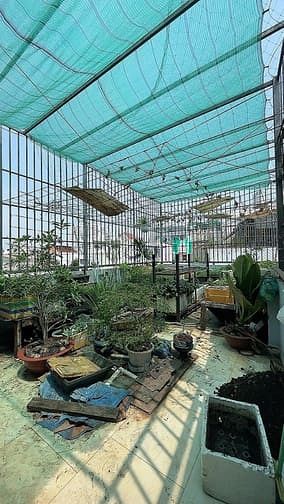 Biệt Thự Vườn Lài, Tân Phú 160M2(6X20M) Nở Hậu 10 Pn Nt Cao Cấp
