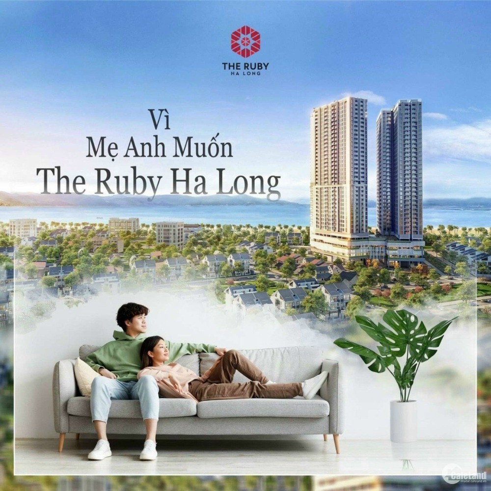 Quỹ Căn Độc Quyền The Ruby Hạ Long, View Biển Cực Đẹp, Giá Từ 26Tr/M2