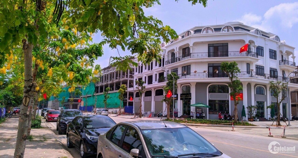 6 Suất Ngoại Giao Giá Tốt Nhất Thị Trường - Calyx Residence 319 Đông Anh