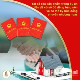 Cần Bán Gấp Lô Đất Mặt Tiền Đường D1