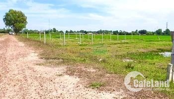 Đất Ngộp Gía Rẻ, Mt Nguyễn Thị Rành, Củ Chi 998M2, Giá Rẻ