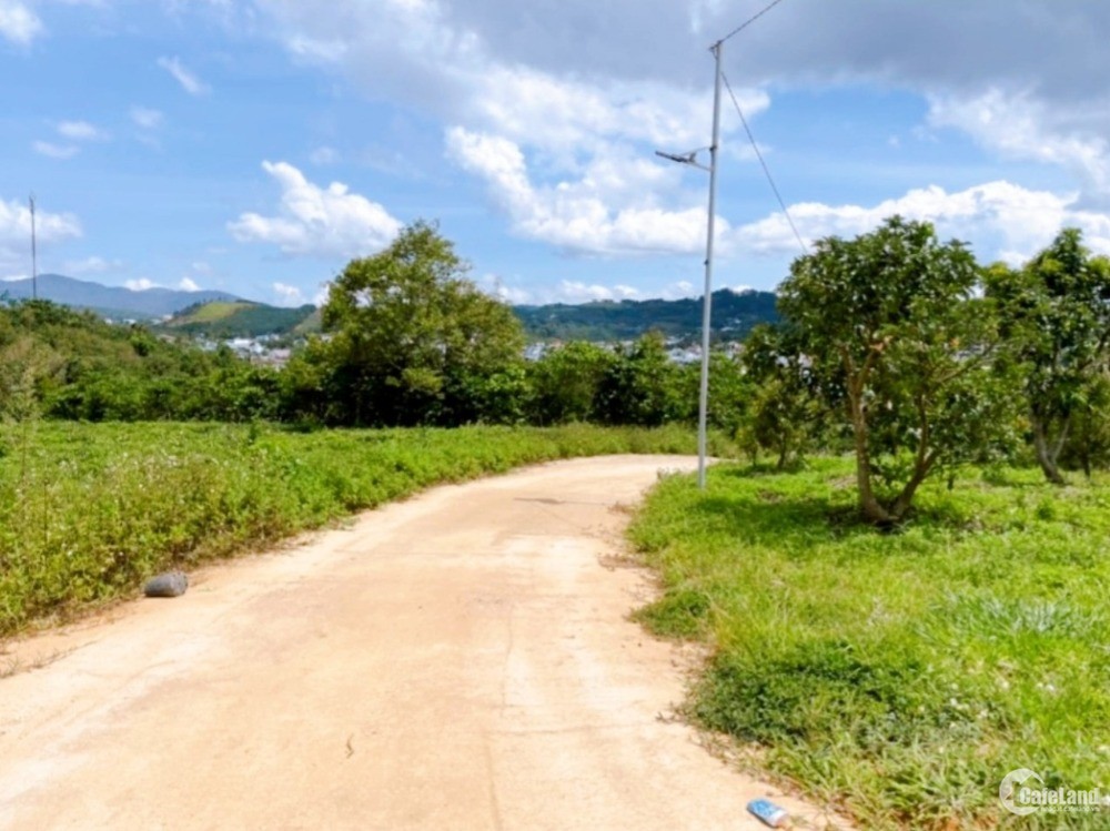 Bán 2 Sào Xã Đại Lào, Có View, Ngay Chợ, Sổ Sẵn Sang Tên Ngay