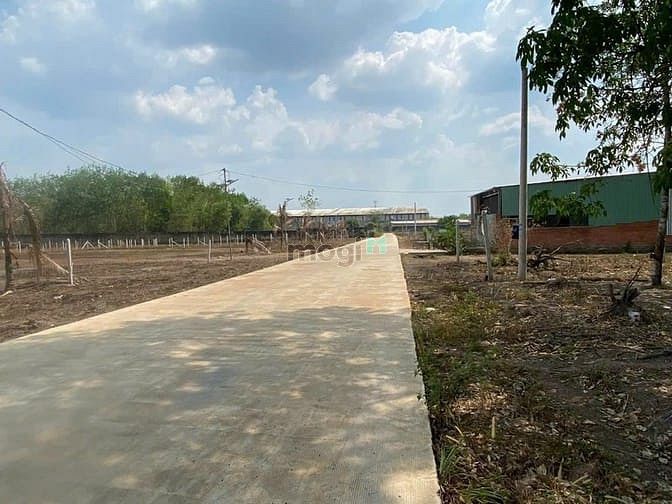 Cần Bán Đất Gấp Khu Vực Đồng Phú Diện Tích 1000M2 Giá Chỉ 3Xxtr