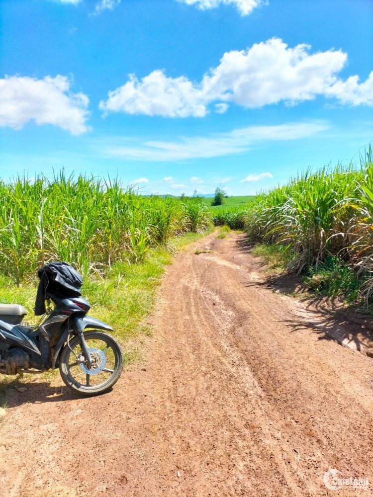 Bán Lô Đất Nông Nghiệp 2 Mặt Tiền Đường Hiện Hữu.chỉ 39 Triêu/Sào.