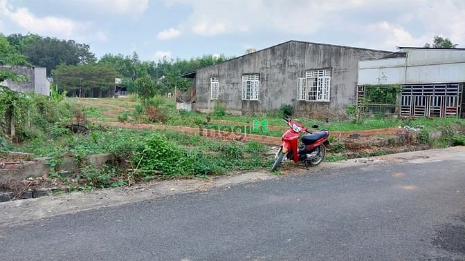 Bán 139M Thổ Cư, Mặt Tiền Đường Nhựa, Xã Giang Điền, Huyện Trảng Bom