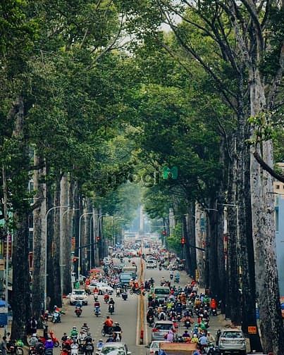 Bán Toà Nhà Mặt Tiền Nguyễn Trọng Lội, P.4, Tân Bình (6.9X31)M Đúc 6