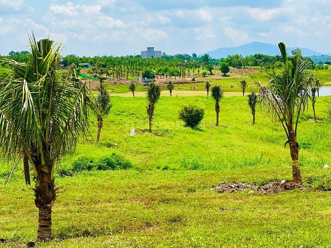 Đất Nền View Hồ “Xu Hướng Hòa Về Với Thiên Nhiên” Chỉ 1.X Tỷ/1000M2