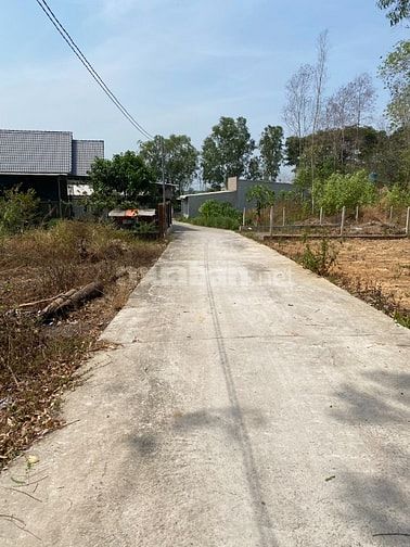 Ngộp Hạ 50% Đất Vườn Thổ Cư Nhơn Trạch Đồng Nai 350Tr/1000M, Chính Chủ