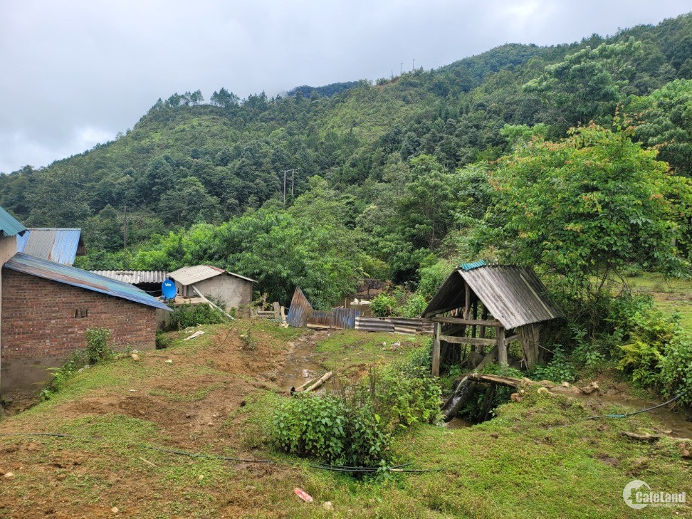 Sân Bay Sapa ,Tạo Tiềm Năng Tăng Giá Cho Đất Y Tý-Sapa2