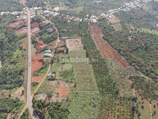 Bán Lô Đất 20M X50M Tc200 Trung Tâm Tp Gia Nghĩa, Đăk Nông.