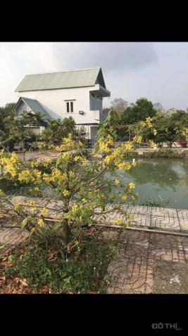 Bán Biệt Thự Vườn Mặt Tiền Đường Nhựa Xã Thái Mỹ, Huyện Củ Chi Diện Tích 1500 Mét Vuông