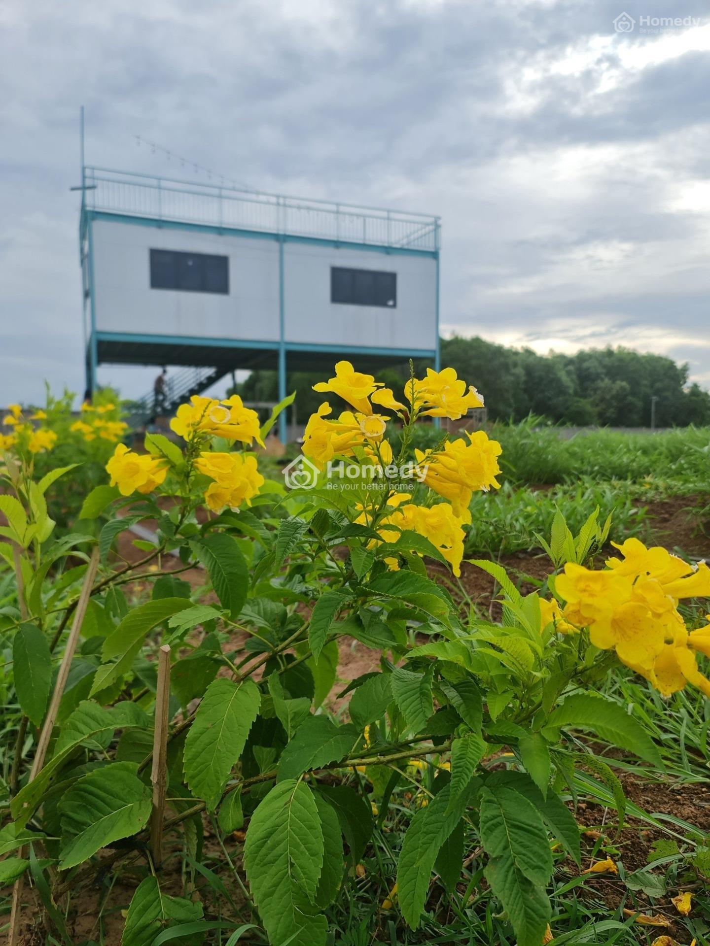 Cần Bán 1,2Ha Đất Long Tân Ngay Hồ Suối Môn, Đất Đỏ, Bà Rịa Vũng Tàu