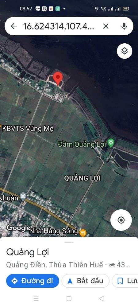 Bán Đất View Phá Tam Giang, Quảng Điền, Huế: Diện Tích: 250 M2 (12,5X20)