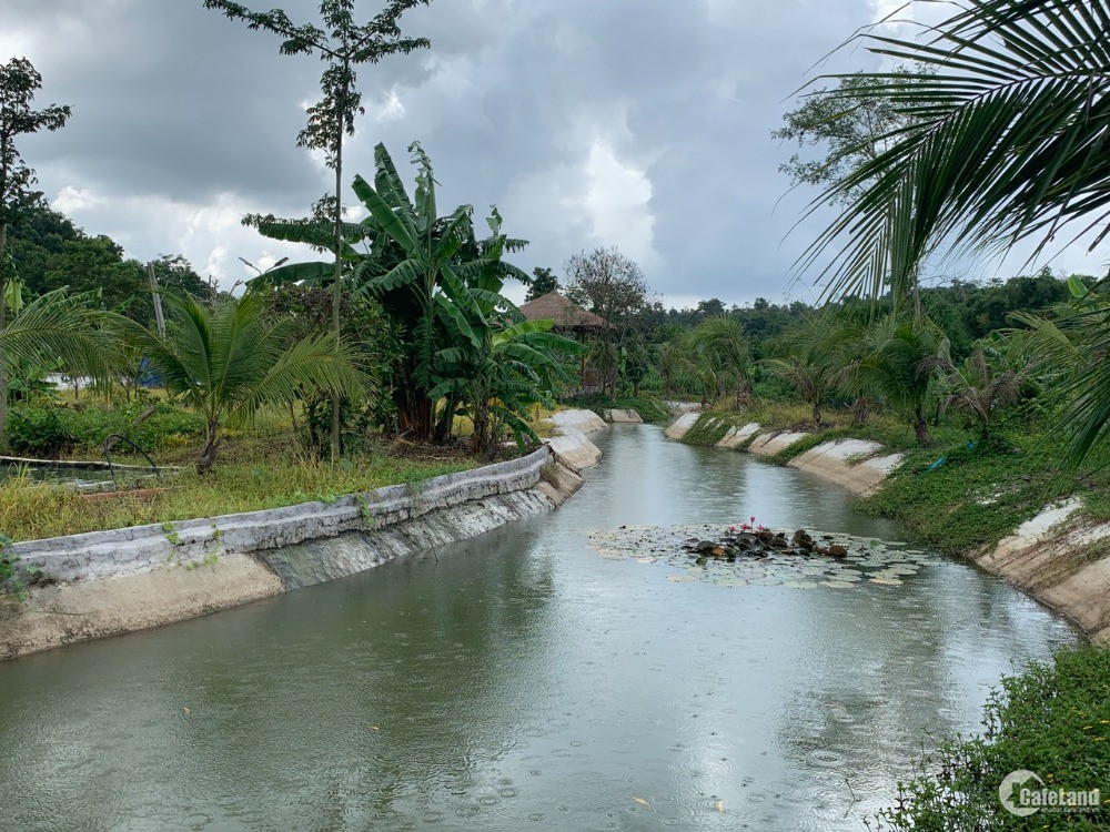 Cần Bán Nhà Vườn Bà Rịa Có Giếng Phun, Hồ Bơi, Suối, Ao Sen…. View Nghỉ Dưỡng