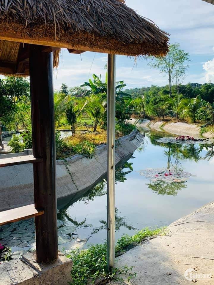 Cần Bán Nhà Vườn Bà Rịa Có Giếng Phun, Hồ Bơi, Suối, Ao Sen…. View Nghỉ Dưỡng