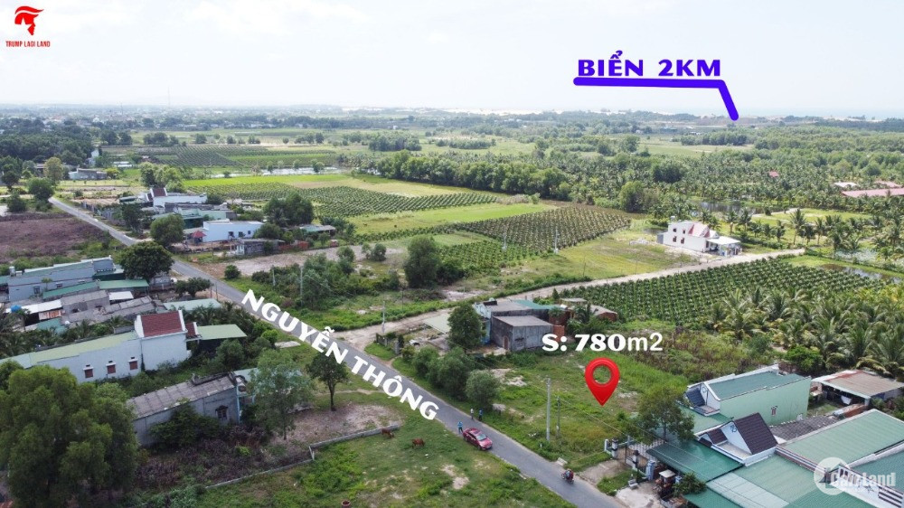 Bán Gấp 13,8X58 Nguyễn Thông, Tân Bình, Thị Xã Lagi, 100M2 Thổ Cư. Giá Ngộp