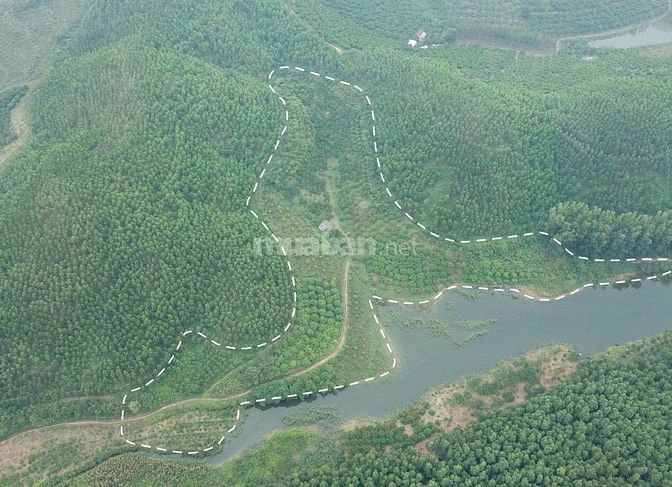 Cắt Lỗ Hơn 1 Tỷ Bán Mảnh Đất Nông Nghiệp 1.2Ha Tại Lục Ngạn, Bắc Giang