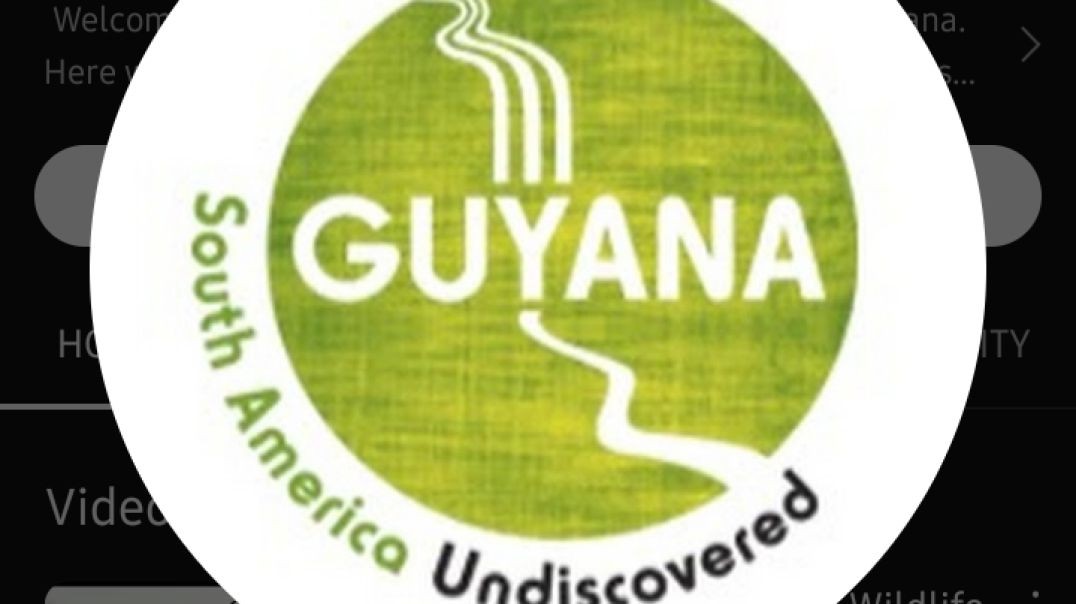 ⁣America---- vs Guyana---- _ THE SLANG CHALLENGE _ IntoxicatedTV(360P)