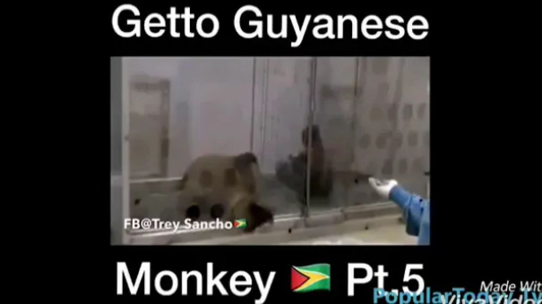 ⁣Guyana funny video