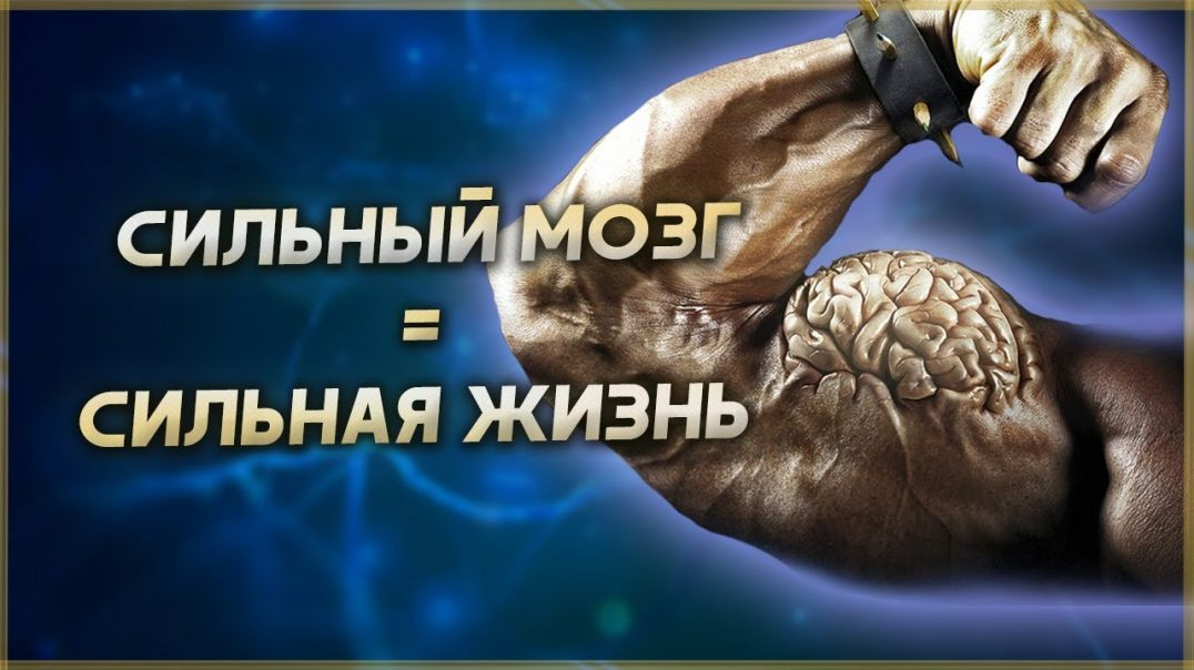 ⁣Сильный мозг = Сильная жизнь! Мотивация и Саморазвитие