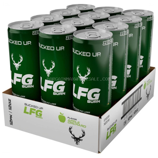 LFG ENERGY 12 CT