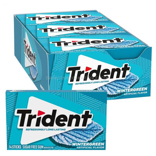 TRIDENT WINTERGREEN 12 CT