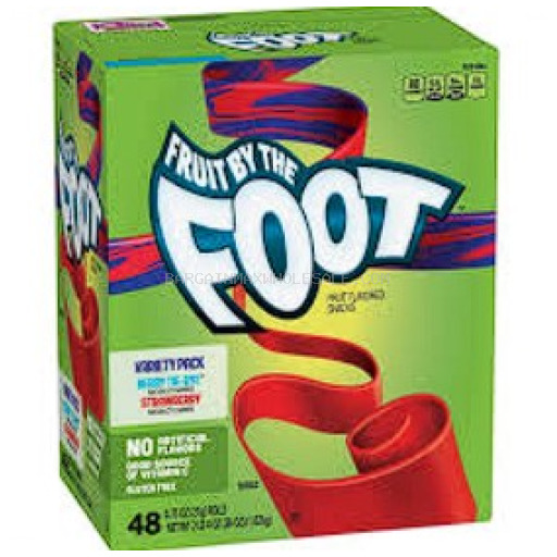 FRUIT BY THE FOOT 48/0.75 OZ